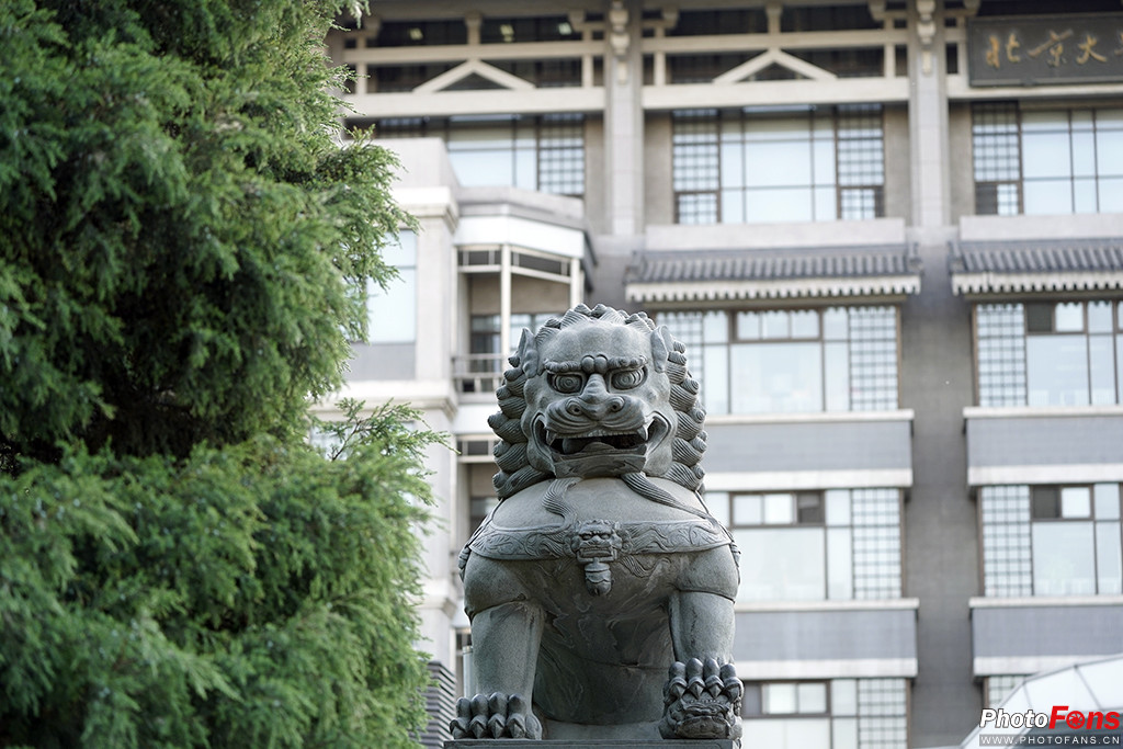 索尼g大师16-35镜头怎么样,索尼sel100400gm