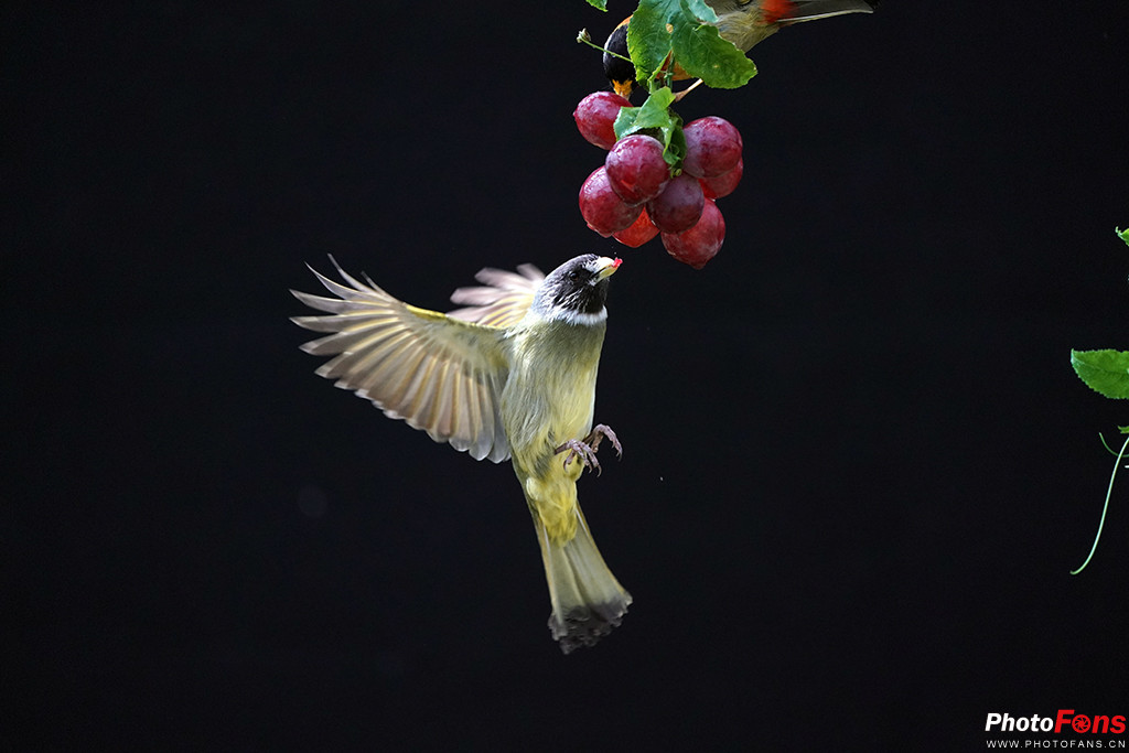 索尼g大师16-35镜头怎么样,索尼sel100400gm