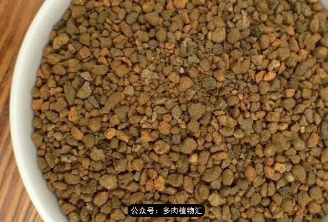 韩国如何养多肉,家庭养多肉用什么施肥