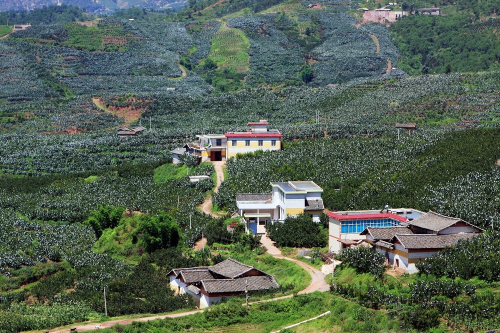 故乡神韵｜古城会理，冬暖夏凉的川滇锁钥