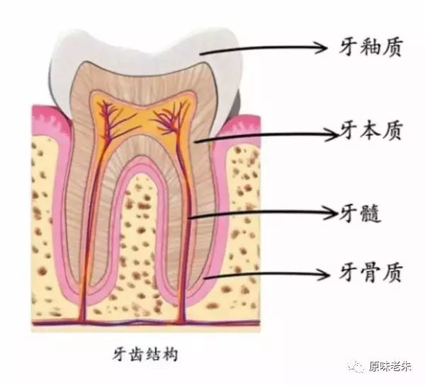 920爱牙日·牙齿酸软请心疼自己,80%的解决办法都在这里了,请自取