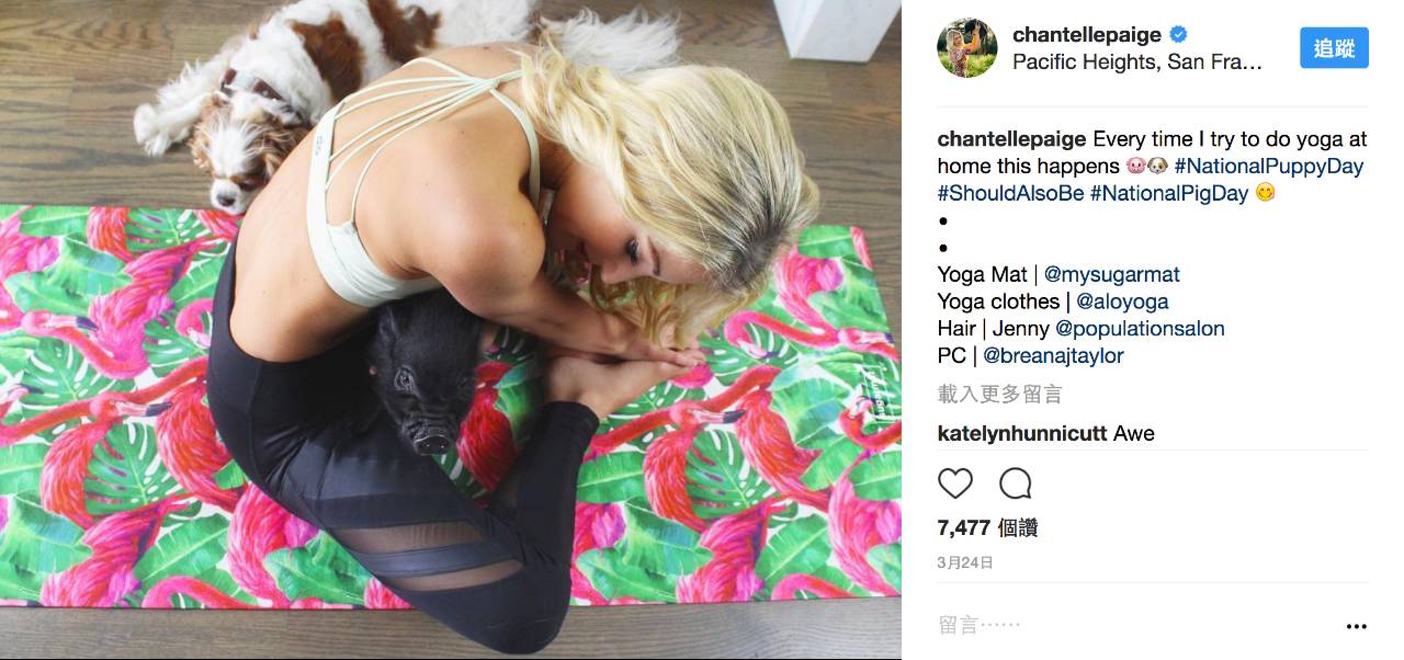 市面最好的瑜伽垫,推荐几款良心瑜伽垫