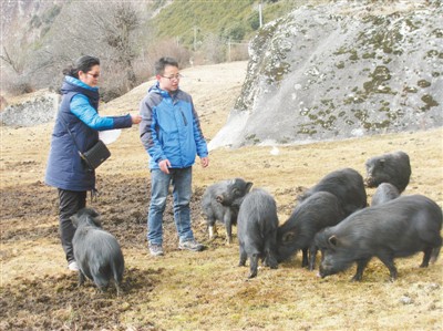 大学生幽默有趣的请假条,简单的请假条手绘