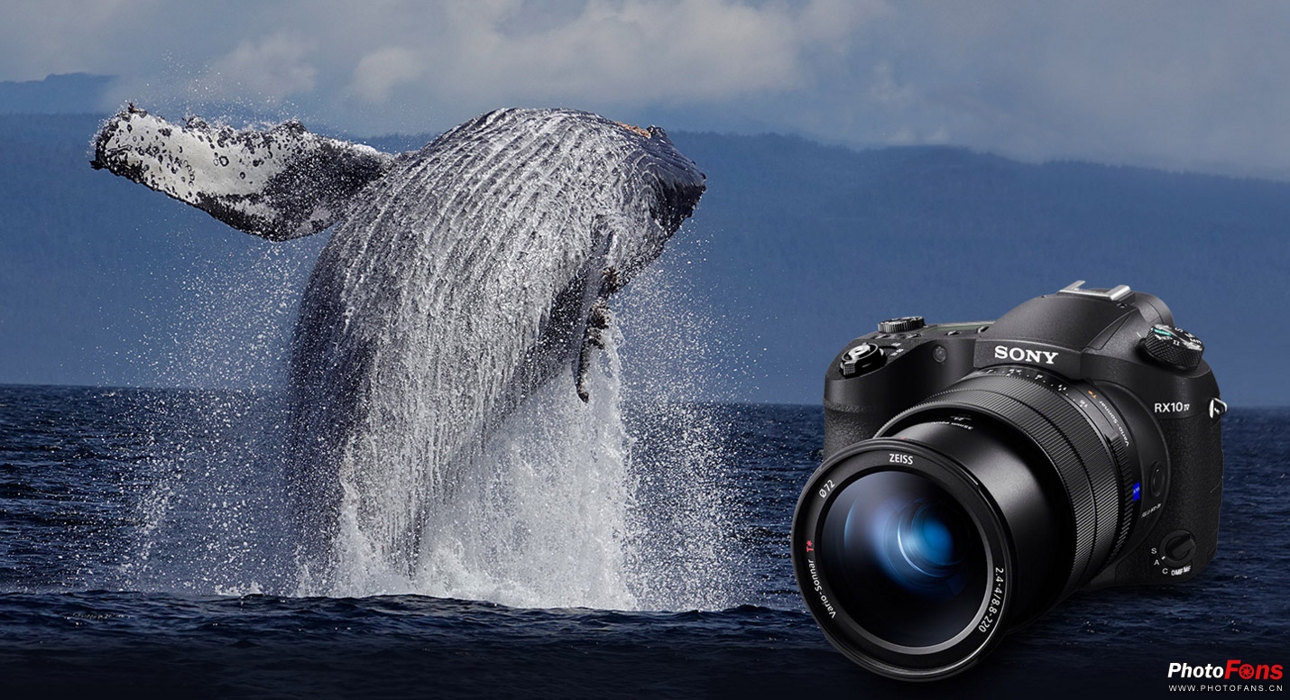 索尼rx10黑卡第5代新品,索尼黑卡rx10m4长焦相机拍鸟