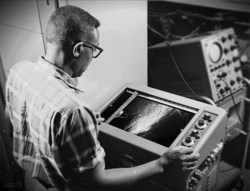 诺贝尔搞笑奖猫咪,搞笑诺贝尔奖猫咪