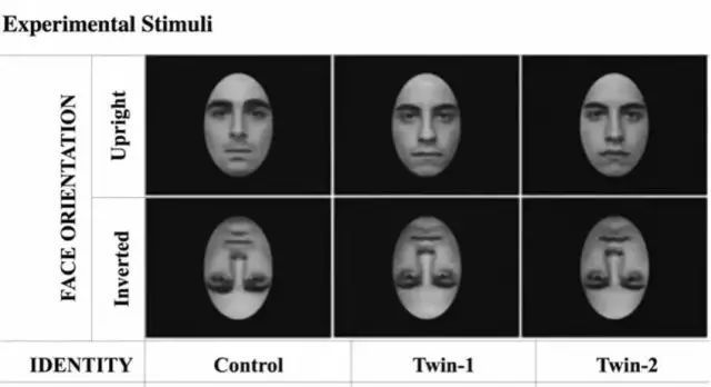 诺贝尔搞笑奖猫咪,搞笑诺贝尔奖猫咪