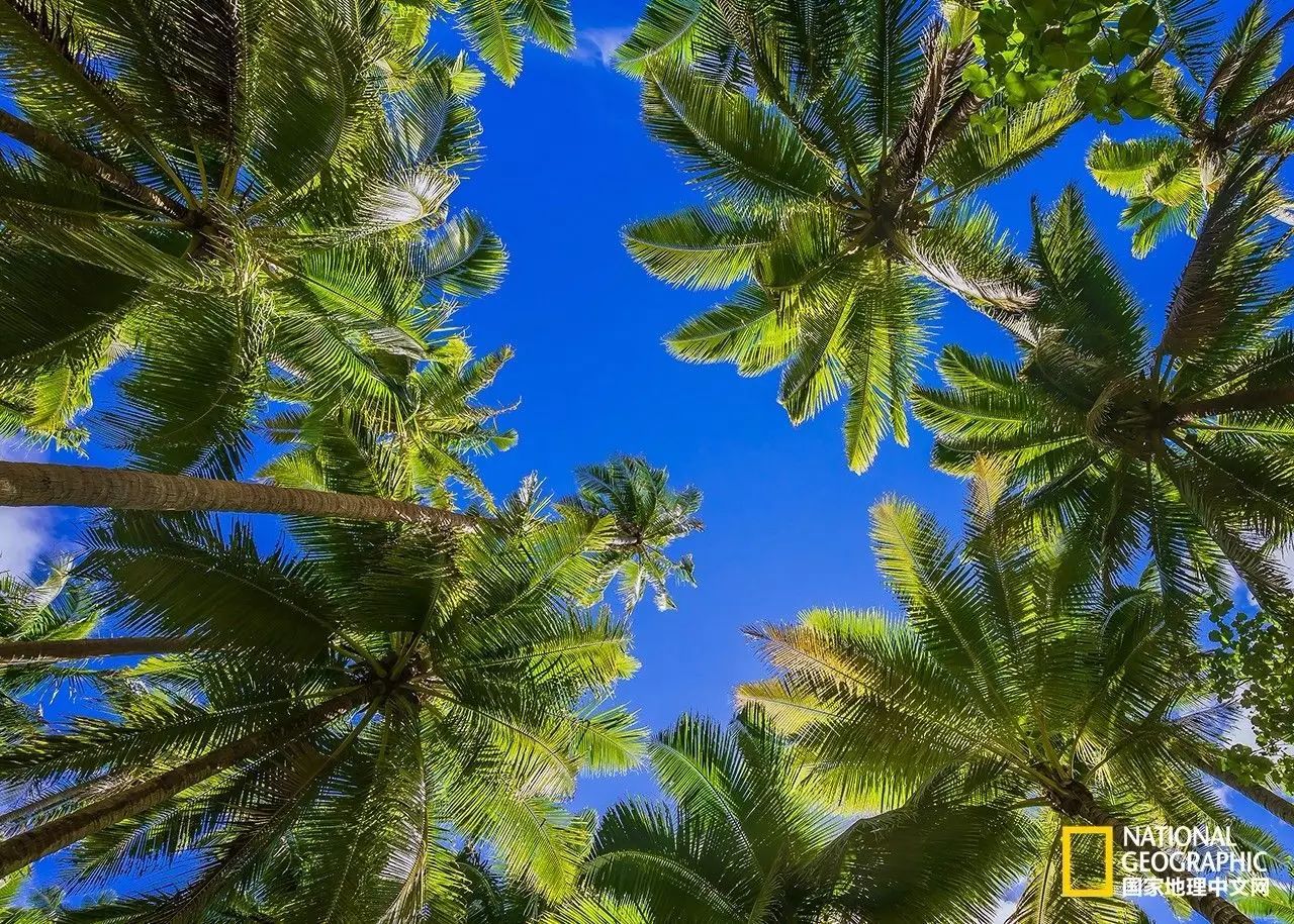 库克群岛的风光,走进库克群岛