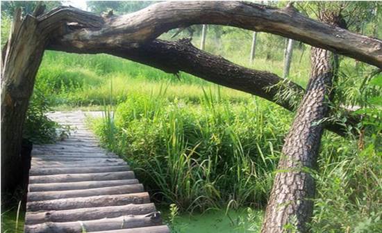 北京最好的草原湿地公园,北京的湿地公园都有哪些