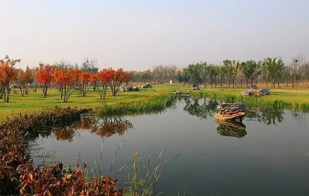 北京最好的草原湿地公园,北京的湿地公园都有哪些