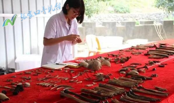 张家口新闻广播今日头条,张家口新闻联播今天