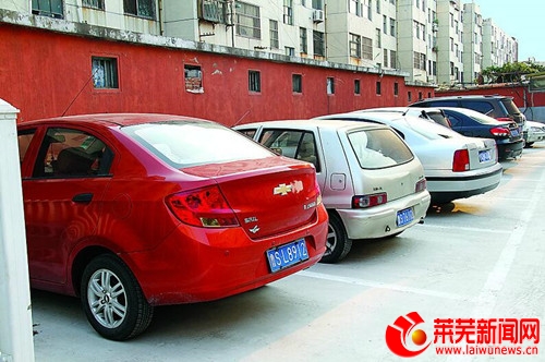 莱芜让文明敲响幸福之门30万株树苗让社区绿起来