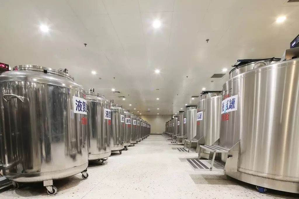 战胜肿瘤的十个方法,脐带血治疗肿瘤的新方法