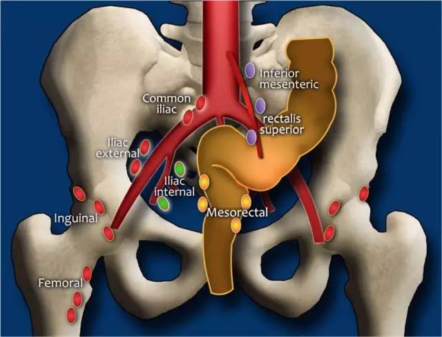 记住一个单词的一般方法,记住癌症九字诀