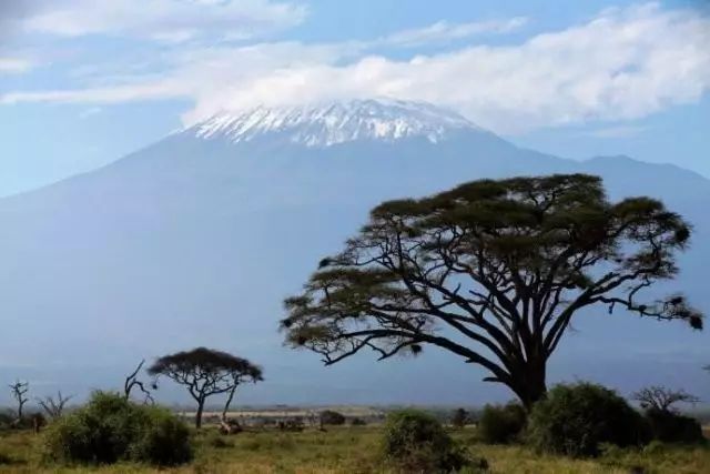 BLACKYAK牛人牛队|登顶“非洲之巅”