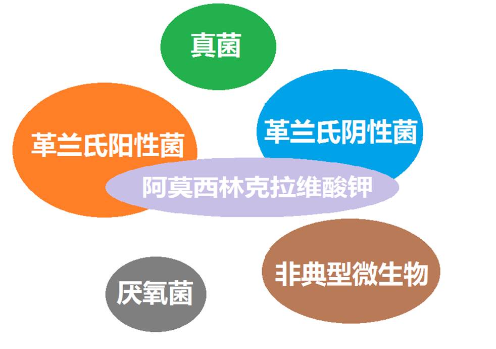 看图“话”抗菌谱，赶紧收藏！