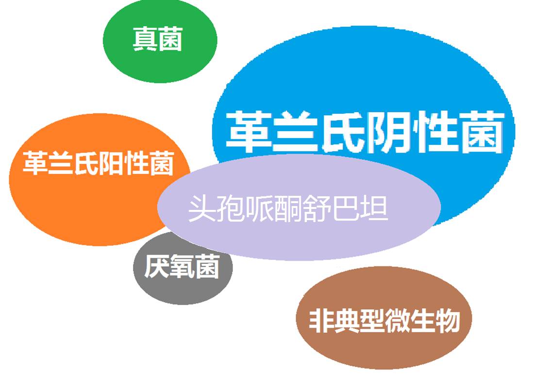 看图“话”抗菌谱，赶紧收藏！