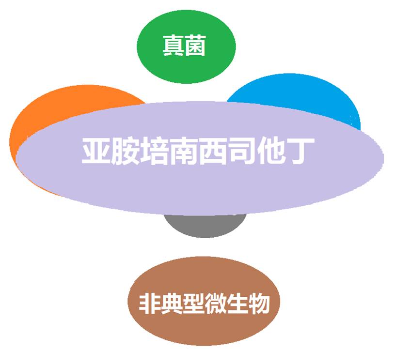 看图“话”抗菌谱，赶紧收藏！