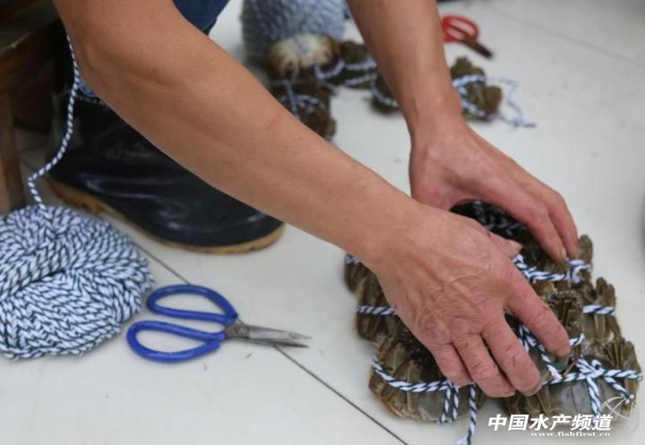 苏州实惠型阳澄湖大闸蟹哪个好,全国大闸蟹品牌排行榜