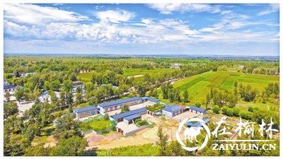 中鸡镇纳林沟村工业园区,神木中鸡镇乡村振兴