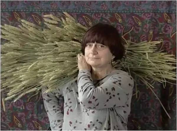 最好的纪录片完整版,最好的纪录片素材