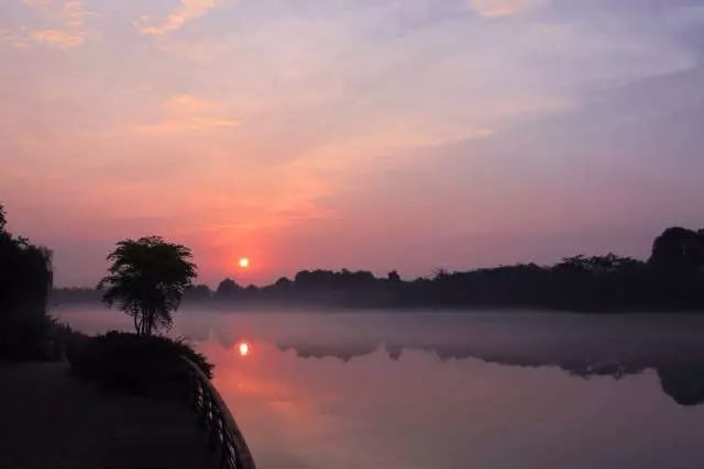 新都的发展,新都近年来的发展