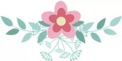 「“绿宝书”」不是所有复律都有美好回忆（2）——房颤与病窦