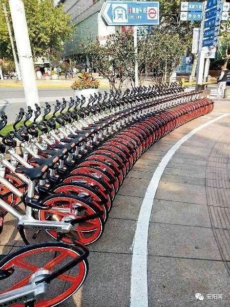 安阳共享单车有哪些,2023年安阳有共享单车吗