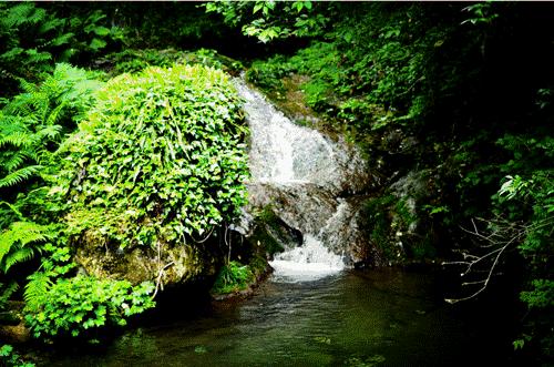 英语厕所的几种说法,厕所英语有几种说法