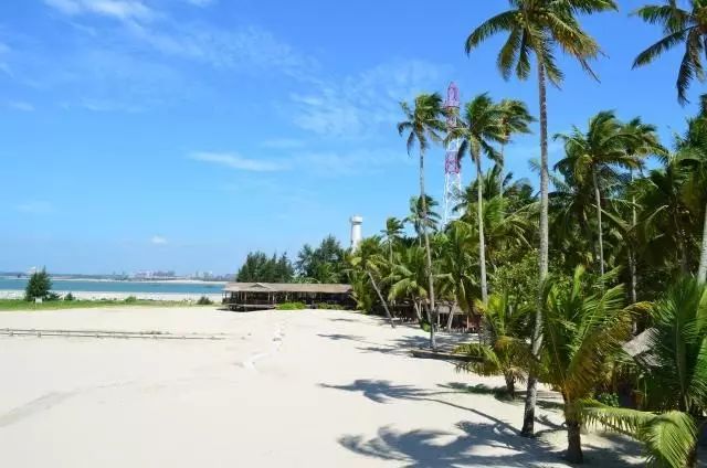 海南免税店必买10件东西便宜实惠,海南免税店购物省钱攻略来袭