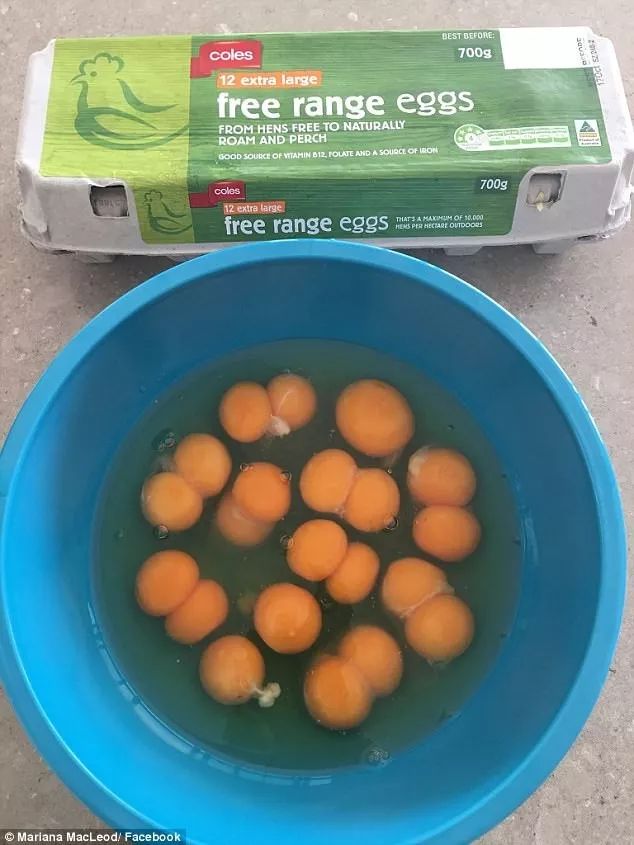 妈妈买回一筐鸡蛋总数不到40个,妈妈买回了12个鸡蛋