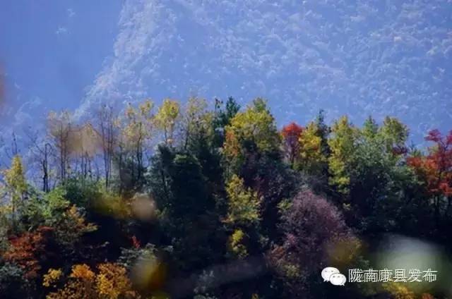 「相约康县」山水间歌声回荡,烟波里久违的故乡