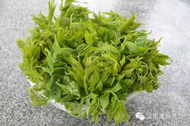 「相约康县」山水间歌声回荡,烟波里久违的故乡