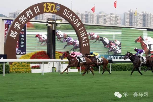 香港冠军马王,香港马拉松冠军颁奖仪式