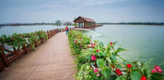 西安不用开车适合去玩的地方,西安周边秋天一日游最佳景点推荐