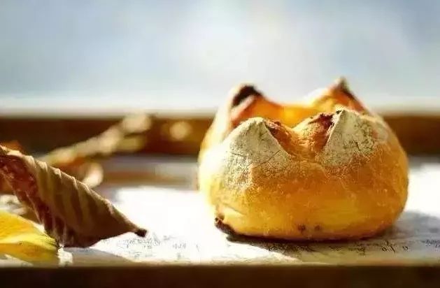 看看这个欧包月入百万的“调性”，一言不合就长见识了！