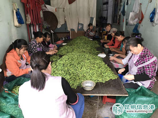 留守妇女的手工加工厂,乡镇大量留守妇女要做什么工作