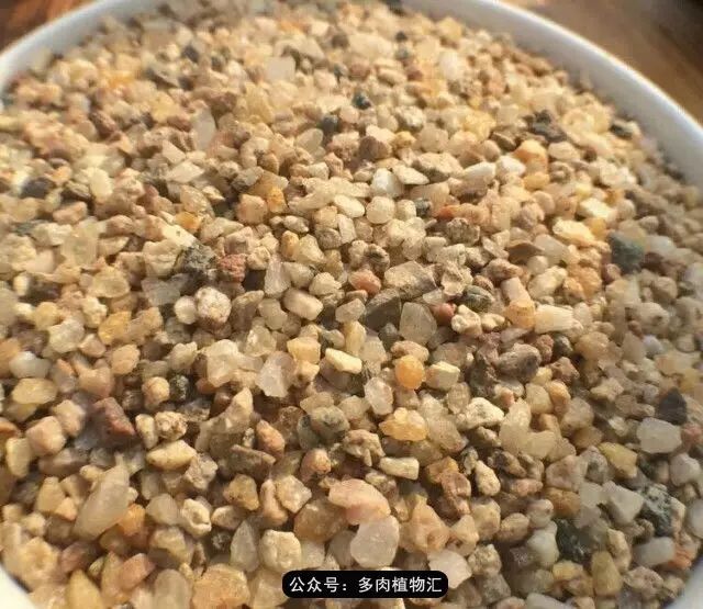 韩国如何养多肉,家庭养多肉用什么施肥