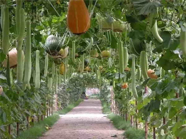 东北五花山旅游,五花山风景区