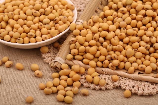 喜欢吃甜品的妹子、情侣们不用担心会发胖，网红爆款豆乳盒子比妖艳*货贱**好吃多了！