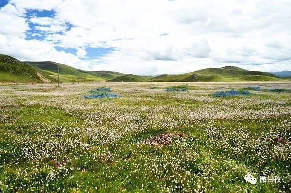 人文｜聆听仙鹤的双翅，你将飞到更高更远的地方……