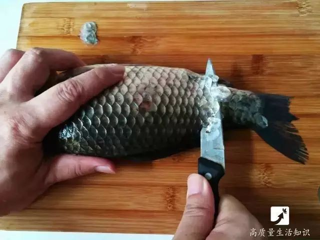 千万不要用菜刀刮鱼鳞了！用这招30秒快速去除，不伤手，赶紧学起来！