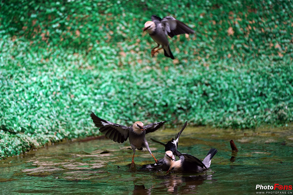 索尼g大师16-35镜头怎么样,索尼sel100400gm