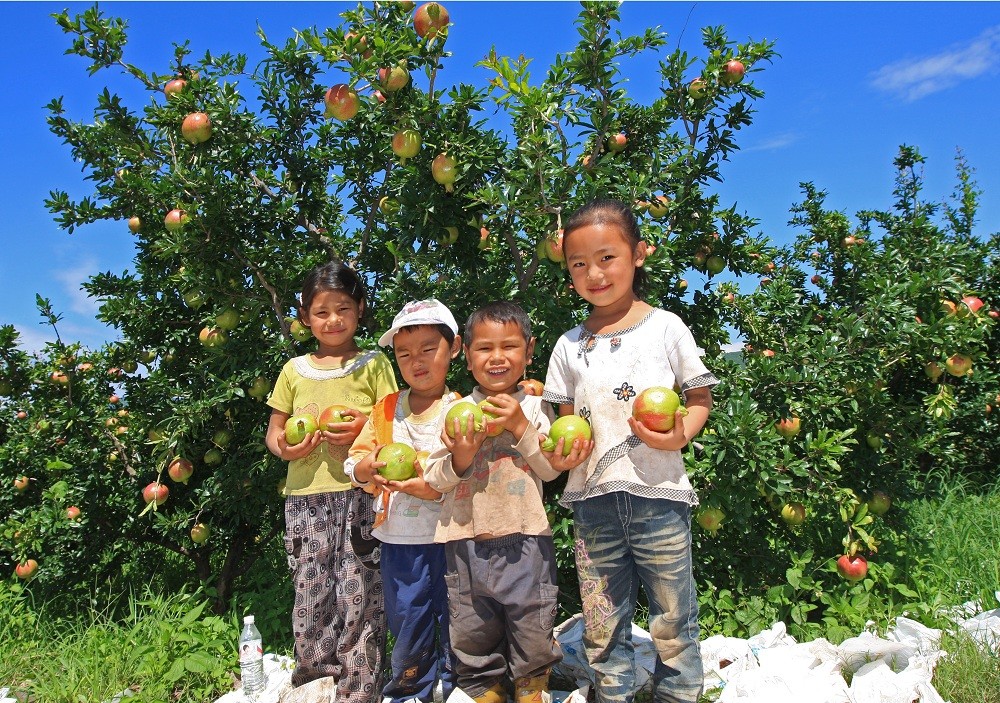 故乡神韵｜古城会理，冬暖夏凉的川滇锁钥