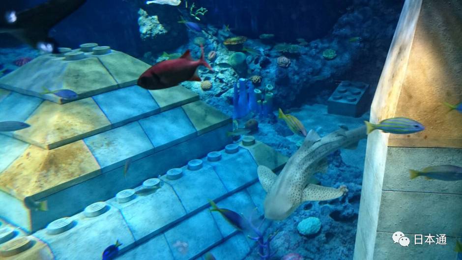 日本哪个乐高乐园最好,日本人评价乐高乐园