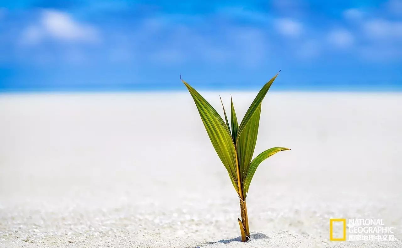 库克群岛的风光,走进库克群岛