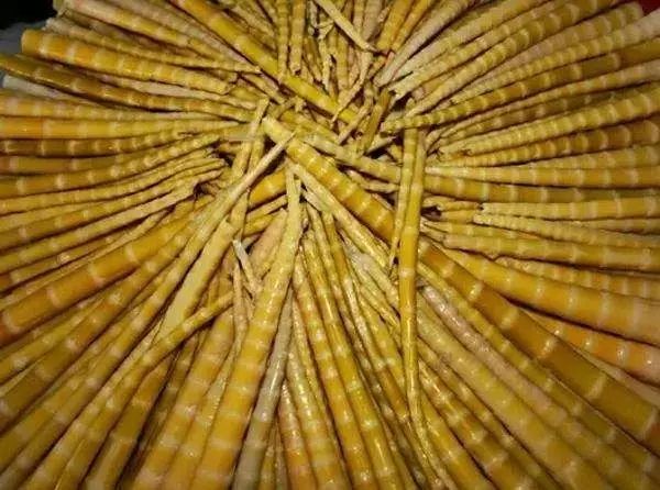 行走在川甘青交界,四川马湖