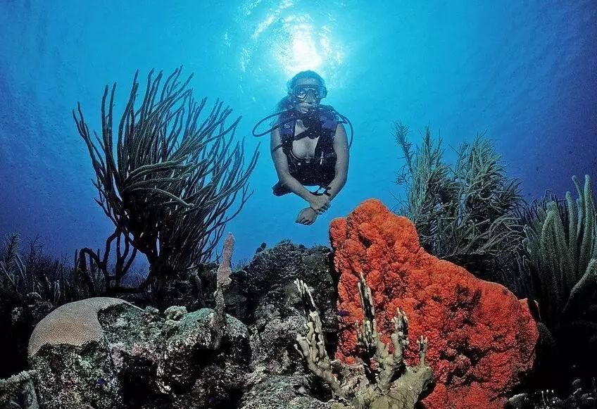 有了美国签证好处,现在去美国签证好办吗