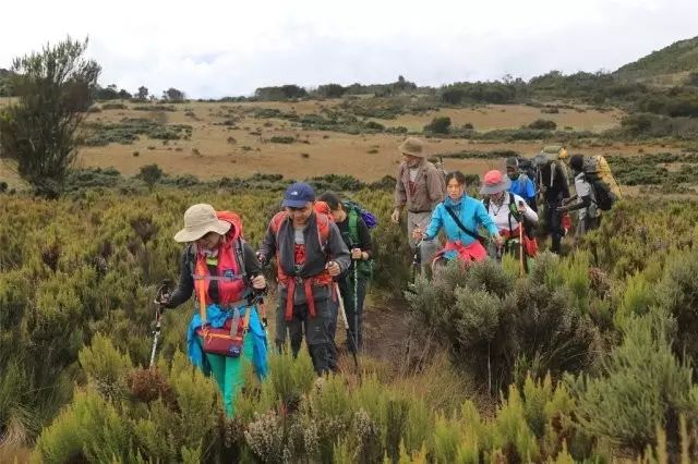 BLACKYAK牛人牛队｜登顶“非洲之巅”