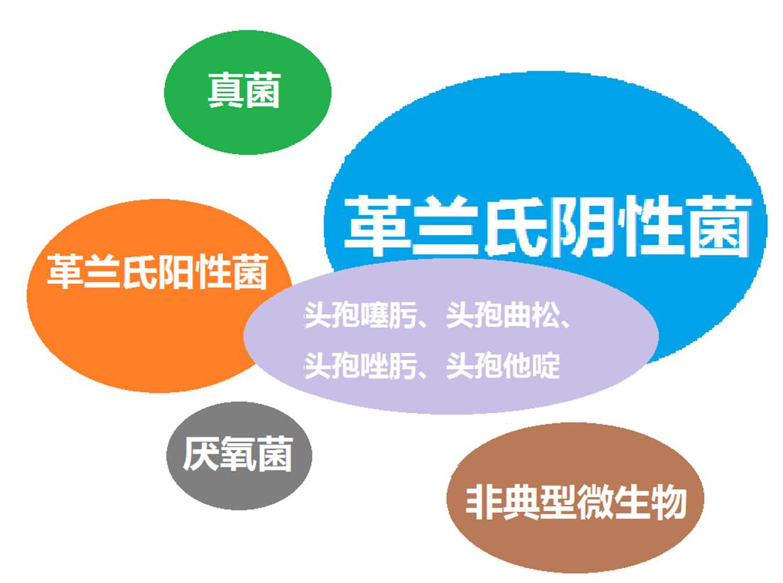 看图“话”抗菌谱，赶紧收藏！