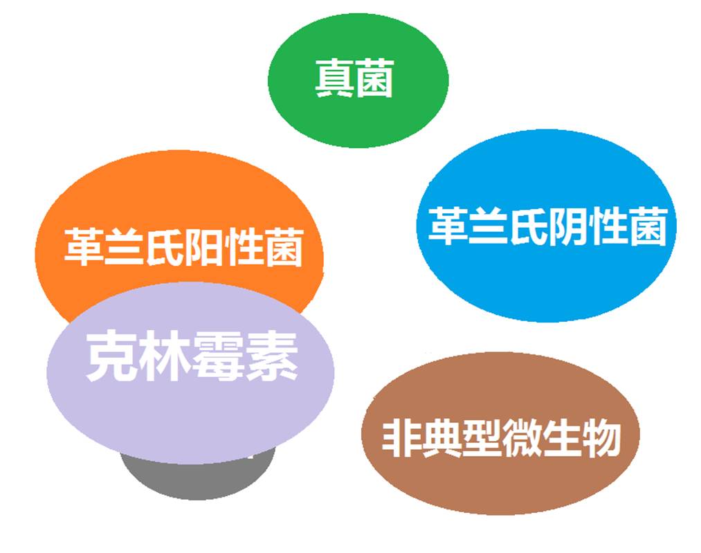 看图“话”抗菌谱，赶紧收藏！